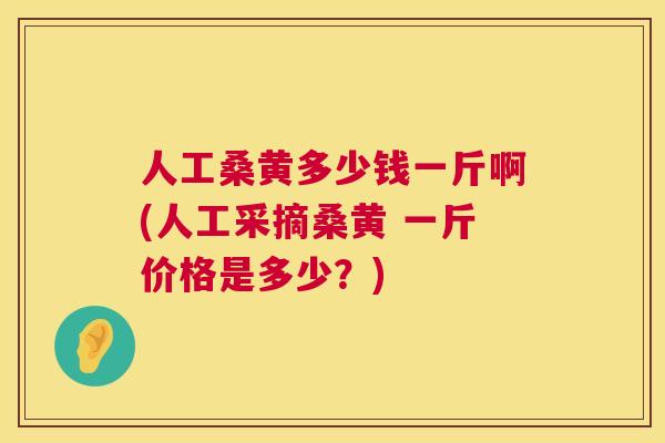 人工桑黄多少钱一斤啊(人工采摘桑黄 一斤价格是多少？)