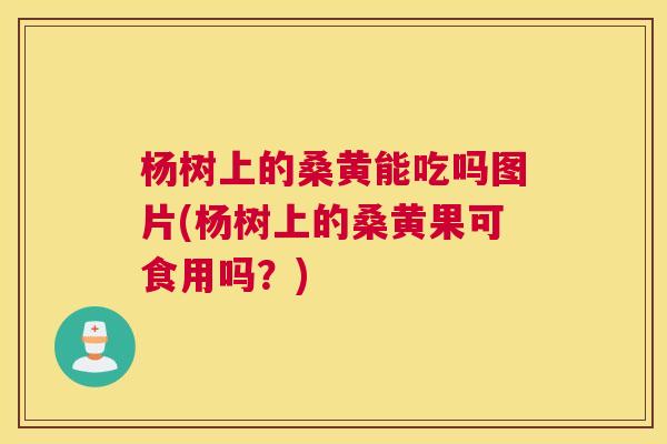 杨树上的桑黄能吃吗图片(杨树上的桑黄果可食用吗?) 杨树上的桑黄能吃吗图片(杨树上的桑黄果可食用吗?)