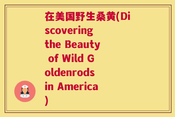 在美国野生桑黄(Discovering the Beauty of Wild Goldenrods in America) 在美国野生桑黄(Discovering the Beauty of Wild Goldenrods in America)