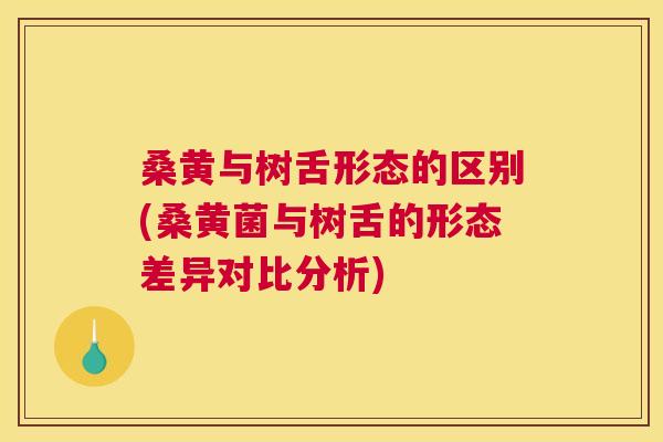 桑黄与树舌形态的区别(桑黄菌与树舌的形态差异对比分析) 桑黄与树舌形态的区别(桑黄菌与树舌的形态差异对比分析)