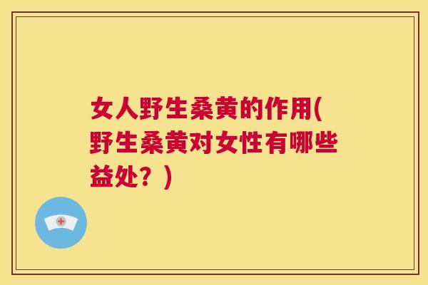 女人野生桑黄的作用(野生桑黄对女性有哪些益处?) 女人野生桑黄的作用(野生桑黄对女性有哪些益处?)
