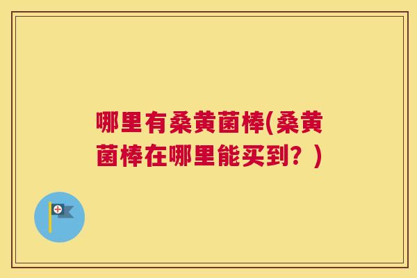 哪里有桑黄菌棒(桑黄菌棒在哪里能买到?) 哪里有桑黄菌棒(桑黄菌棒在哪里能买到?)