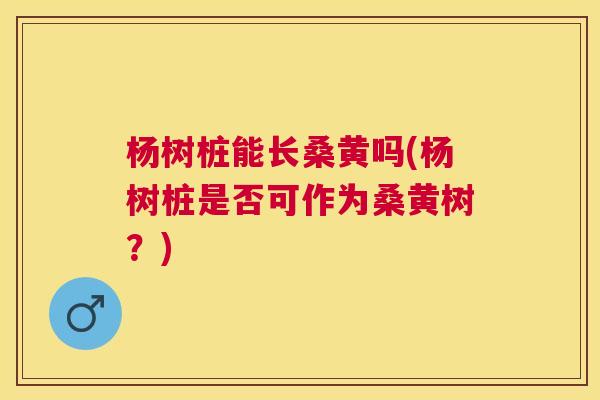 杨树桩能长桑黄吗(杨树桩是否可作为桑黄树?) 杨树桩能长桑黄吗(杨树桩是否可作为桑黄树?)