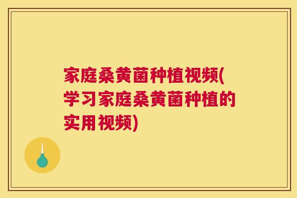 家庭桑黄菌种植视频(学习家庭桑黄菌种植的实用视频) 家庭桑黄菌种植视频(学习家庭桑黄菌种植的实用视频)