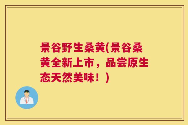 景谷野生桑黄(景谷桑黄全新上市,品尝原生态天然美味!) 景谷野生桑黄(景谷桑黄全新上市,品尝原生态天然美味!)