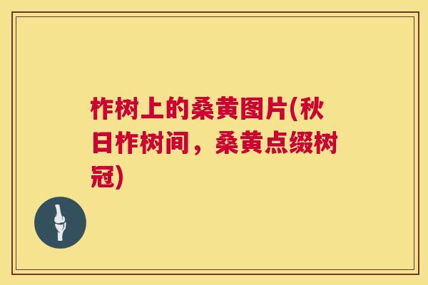 柞树上的桑黄图片(秋日柞树间,桑黄点缀树冠) 柞树上的桑黄图片(秋日柞树间,桑黄点缀树冠)