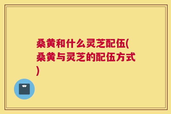 桑黄和什么灵芝配伍(桑黄与灵芝的配伍方式) 桑黄和什么灵芝配伍(桑黄与灵芝的配伍方式)