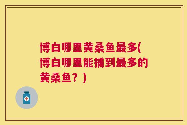 博白哪里黄桑鱼多(博白哪里能捕到多的黄桑鱼?) 博白哪里黄桑鱼多(博白哪里能捕到多的黄桑鱼?)