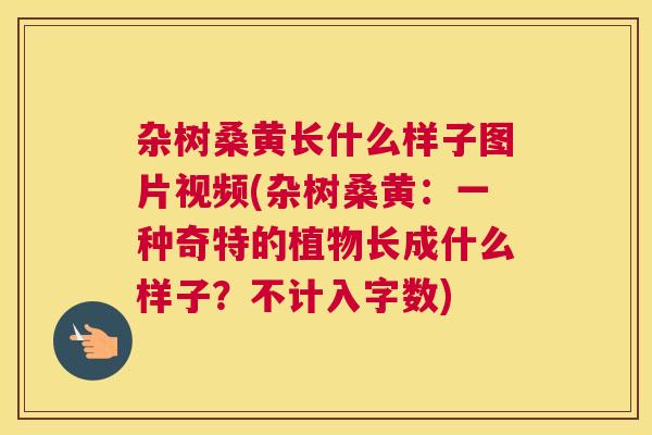 杂树桑黄长什么样子图片视频(杂树桑黄:一种奇特的植物长成什么样子?不计入字数) 杂树桑黄长什么样子图片视频(杂树桑黄:一种奇特的植物长成什么样子?不计入字数)