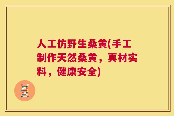 人工仿野生桑黄(手工制作天然桑黄,真材实料,健康安全) 人工仿野生桑黄(手工制作天然桑黄,真材实料,健康安全)