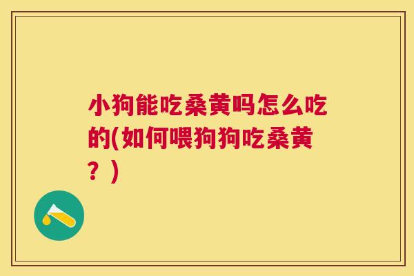 小狗能吃桑黄吗怎么吃的(如何喂狗狗吃桑黄?) 小狗能吃桑黄吗怎么吃的(如何喂狗狗吃桑黄?)