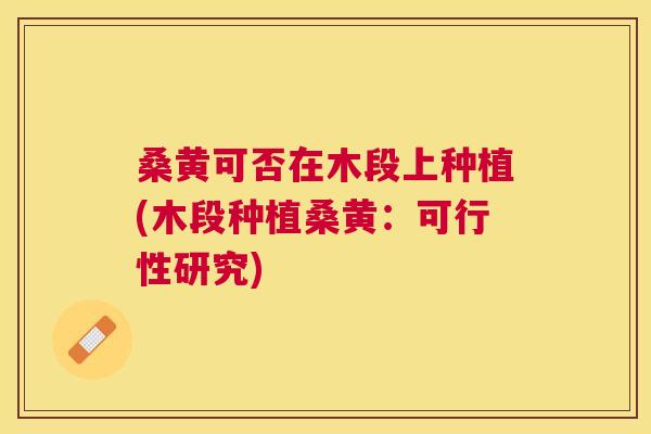 桑黄可否在木段上种植(木段种植桑黄:可行性研究) 桑黄可否在木段上种植(木段种植桑黄:可行性研究)