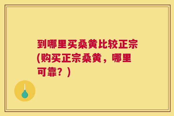 到哪里买桑黄比较正宗(购买正宗桑黄,哪里可靠?) 到哪里买桑黄比较正宗(购买正宗桑黄,哪里可靠?)