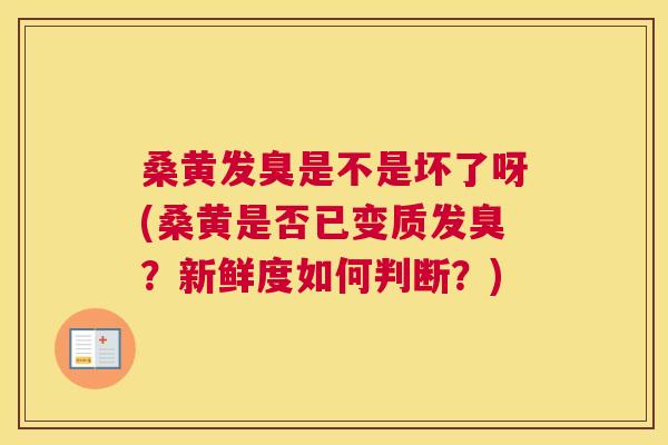 桑黄发臭是不是坏了呀(桑黄是否已变质发臭?新鲜度如何判断?) 桑黄发臭是不是坏了呀(桑黄是否已变质发臭?新鲜度如何判断?)