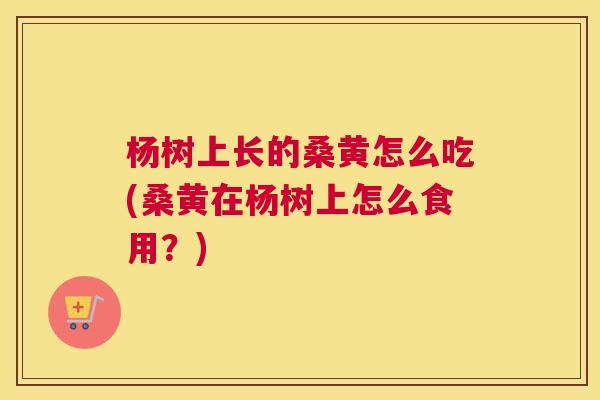杨树上长的桑黄怎么吃(桑黄在杨树上怎么食用?) 杨树上长的桑黄怎么吃(桑黄在杨树上怎么食用?)