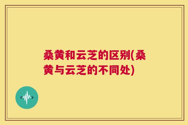 桑黄和云芝的区别(桑黄与云芝的不同处)