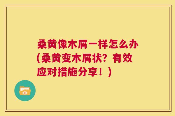 桑黄像木屑一样怎么办(桑黄变木屑状?有效应对措施分享!) 桑黄像木屑一样怎么办(桑黄变木屑状?有效应对措施分享!)