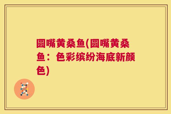 圆嘴黄桑鱼(圆嘴黄桑鱼:色彩缤纷海底新颜色) 圆嘴黄桑鱼(圆嘴黄桑鱼:色彩缤纷海底新颜色)