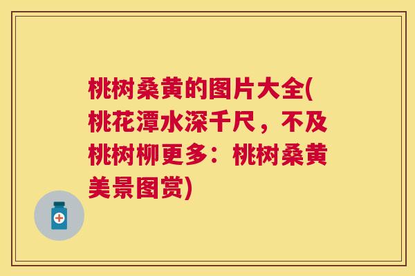 桃树桑黄的图片大全(桃花潭水深千尺,不及桃树柳更多:桃树桑黄美景图赏) 桃树桑黄的图片大全(桃花潭水深千尺,不及桃树柳更多:桃树桑黄美景图赏)