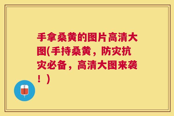 手拿桑黄的图片高清大图(手持桑黄,防灾抗灾必备,高清大图来袭!) 手拿桑黄的图片高清大图(手持桑黄,防灾抗灾必备,高清大图来袭!)