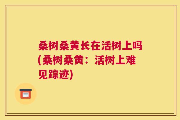 桑树桑黄长在活树上吗(桑树桑黄:活树上难见踪迹) 桑树桑黄长在活树上吗(桑树桑黄:活树上难见踪迹)