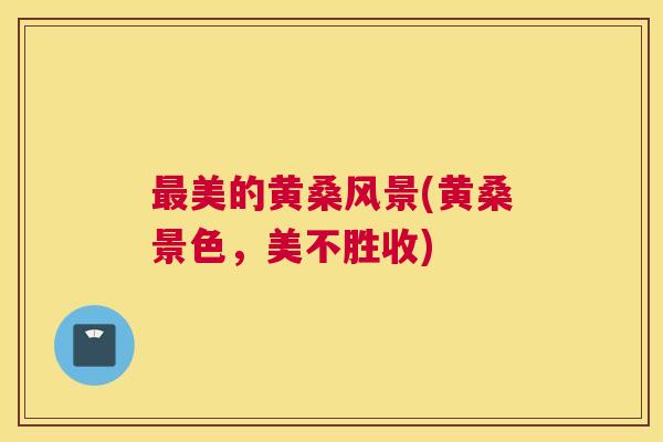 美的黄桑风景(黄桑景色,美不胜收) 美的黄桑风景(黄桑景色,美不胜收)