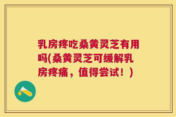 乳房疼吃桑黄灵芝有用吗(桑黄灵芝可缓解乳房,值得尝试!) 乳房疼吃桑黄灵芝有用吗(桑黄灵芝可缓解乳房,值得尝试!)
