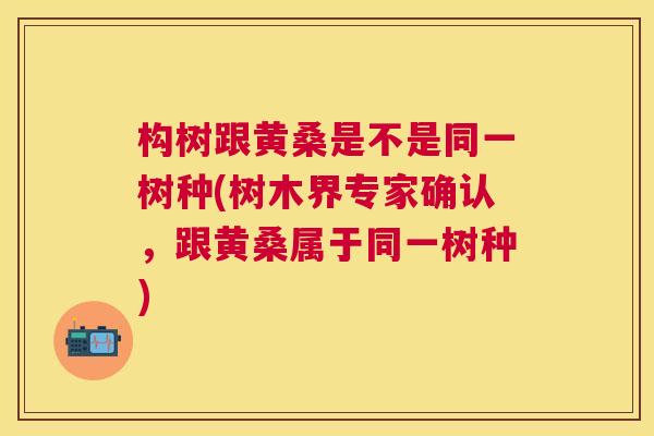 构树跟黄桑是不是同一树种(树木界专家确认,跟黄桑属于同一树种) 构树跟黄桑是不是同一树种(树木界专家确认,跟黄桑属于同一树种)
