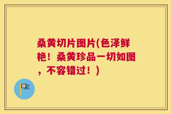桑黄切片图片(色泽鲜艳！桑黄珍品一切如图，不容错过！)