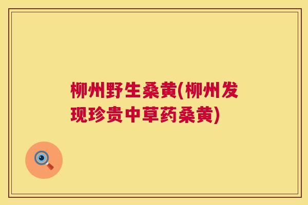 柳州野生桑黄(柳州发现珍贵中草药桑黄) 柳州野生桑黄(柳州发现珍贵中草药桑黄)