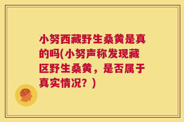 小努西藏野生桑黄是真的吗(小努声称发现藏区野生桑黄,是否属于真实情况?) 小努西藏野生桑黄是真的吗(小努声称发现藏区野生桑黄,是否属于真实情况?)