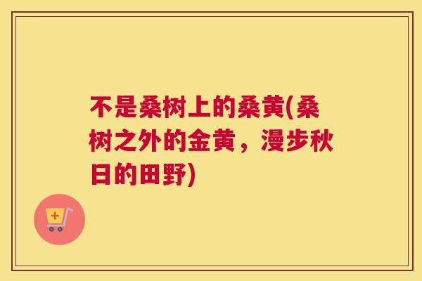 不是桑树上的桑黄(桑树之外的金黄,漫步秋日的田野) 不是桑树上的桑黄(桑树之外的金黄,漫步秋日的田野)