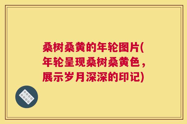 桑树桑黄的年轮图片(年轮呈现桑树桑黄色,展示岁月深深的印记) 桑树桑黄的年轮图片(年轮呈现桑树桑黄色,展示岁月深深的印记)