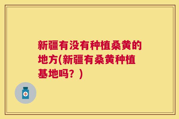 新疆有没有种植桑黄的地方(新疆有桑黄种植基地吗?) 新疆有没有种植桑黄的地方(新疆有桑黄种植基地吗?)