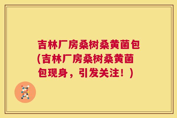 吉林厂房桑树桑黄菌包(吉林厂房桑树桑黄菌包现身,引发关注!) 吉林厂房桑树桑黄菌包(吉林厂房桑树桑黄菌包现身,引发关注!)