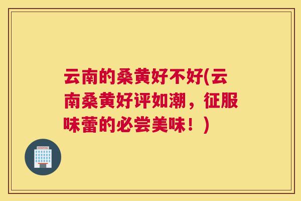 云南的桑黄好不好(云南桑黄好评如潮,征服味蕾的必尝美味!) 云南的桑黄好不好(云南桑黄好评如潮,征服味蕾的必尝美味!)