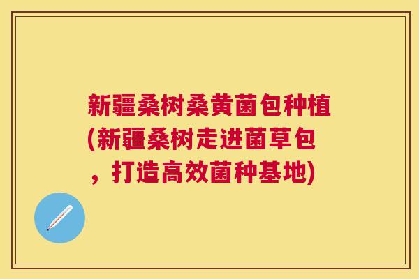 新疆桑树桑黄菌包种植(新疆桑树走进菌草包,打造高效菌种基地) 新疆桑树桑黄菌包种植(新疆桑树走进菌草包,打造高效菌种基地)