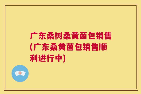 广东桑树桑黄菌包销售(广东桑黄菌包销售顺利进行中) 广东桑树桑黄菌包销售(广东桑黄菌包销售顺利进行中)