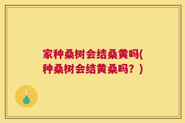 家种桑树会结桑黄吗(种桑树会结黄桑吗?) 家种桑树会结桑黄吗(种桑树会结黄桑吗?)
