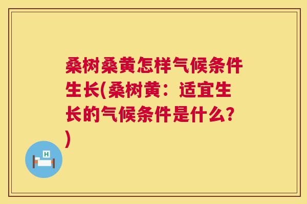 桑树桑黄怎样气候条件生长(桑树黄:适宜生长的气候条件是什么?) 桑树桑黄怎样气候条件生长(桑树黄:适宜生长的气候条件是什么?)