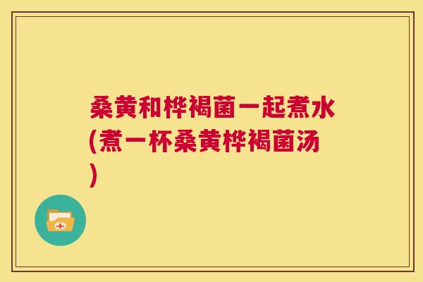 桑黄和桦褐菌一起煮水(煮一杯桑黄桦褐菌汤) 桑黄和桦褐菌一起煮水(煮一杯桑黄桦褐菌汤)