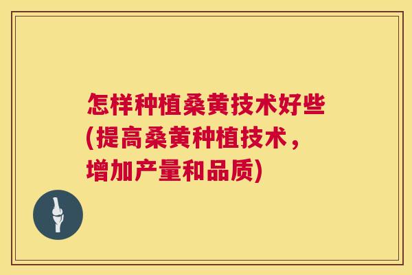 怎样种植桑黄技术好些(提高桑黄种植技术,增加产量和品质) 怎样种植桑黄技术好些(提高桑黄种植技术,增加产量和品质)