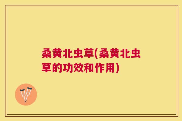 桑黄北虫草(桑黄北虫草的功效和作用) 桑黄北虫草(桑黄北虫草的功效和作用)