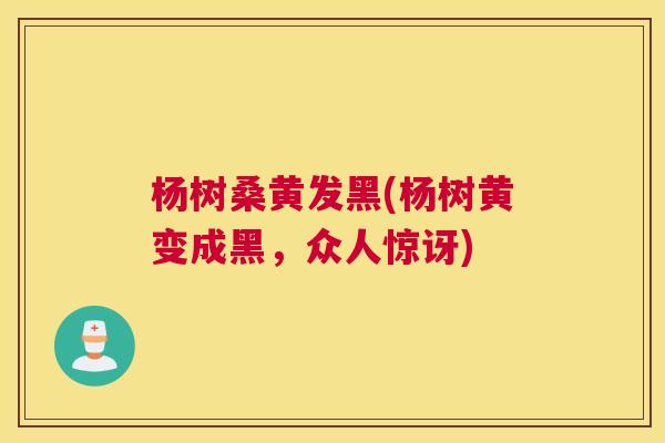 杨树桑黄发黑(杨树黄变成黑,众人惊讶) 杨树桑黄发黑(杨树黄变成黑,众人惊讶)