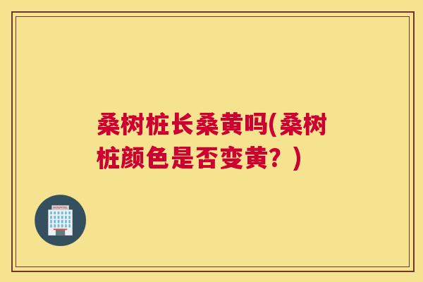 桑树桩长桑黄吗(桑树桩颜色是否变黄?) 桑树桩长桑黄吗(桑树桩颜色是否变黄?)