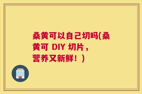 桑黄可以自己切吗(桑黄可 DIY 切片,营养又新鲜!) 桑黄可以自己切吗(桑黄可 DIY 切片,营养又新鲜!)