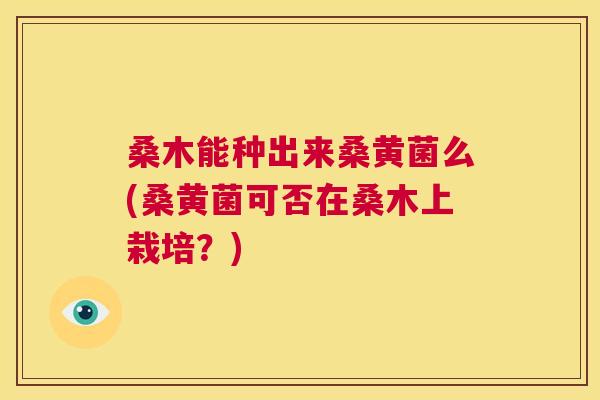 桑木能种出来桑黄菌么(桑黄菌可否在桑木上栽培?) 桑木能种出来桑黄菌么(桑黄菌可否在桑木上栽培?)