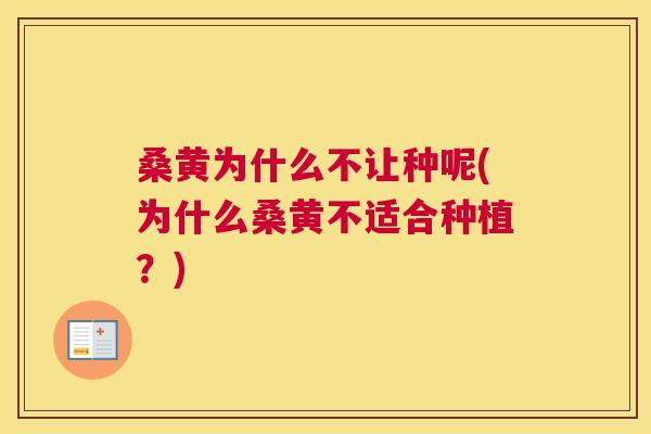 桑黄为什么不让种呢(为什么桑黄不适合种植?) 桑黄为什么不让种呢(为什么桑黄不适合种植?)