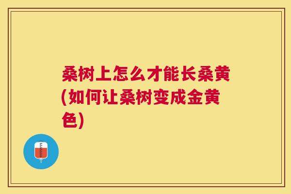 桑树上怎么才能长桑黄(如何让桑树变成金黄色) 桑树上怎么才能长桑黄(如何让桑树变成金黄色)