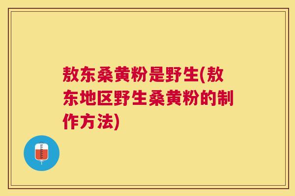 敖东桑黄粉是野生(敖东地区野生桑黄粉的制作方法) 敖东桑黄粉是野生(敖东地区野生桑黄粉的制作方法)
